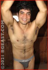 lobo_gris.jpg